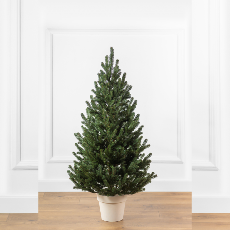 Елка в горшке Венская Зеленая (1.1м) в горшке (1.1м)